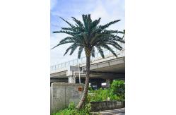 China 800cm Artificial Tropical Tree supplier