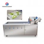 185KG 2.6KW  Ozone disinfection vegetable washing machine Commercial units school canteen air bubble washing machine for sale