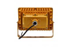 China 2700K - 6500K High Power Explosion Proof Lamp With Mesh Cover IP65 supplier
