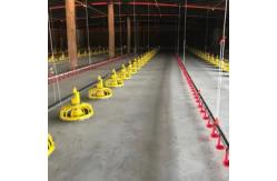China PLC Poultry Feeding Systems Automated Feeding System Of Broiler supplier
