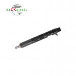 Common Rail Injector EJBR05101D EJBR05102D 166001137R