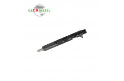 China Common Rail Injector EJBR05101D EJBR05102D 166001137R supplier