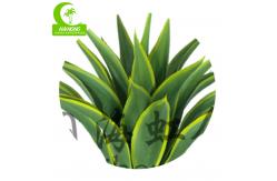 China Aesthetic H60cm Artificial Succulent Plant For Home Decoration supplier