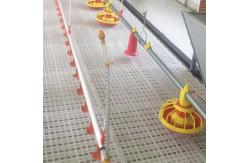 China Chicken 15 Nipples/3m Automatic Drinker Cup System supplier