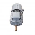 Rare Earth Permanent Magnet Generator 500kw 250rpm Natural Cooled for sale