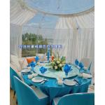 Starry Sky Outdoor Bubble Tent House Handy Installation Multifunctional Use for sale