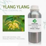 Ylang Ylang Essential Oil Yellow Flowers 1000ml Pure Natural Plant Essential Oil for sale