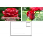3D Changing Pictures Anniversary Birthday Wedding Card 3D Printing Images