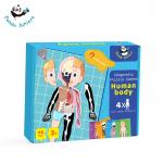 Magnetic Human Body Jigsaw Puzzle Preschool Creative Cognitive Skills Training for sale