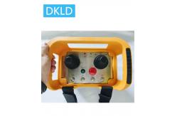 China Box mounted double rocker crane remote control supplier