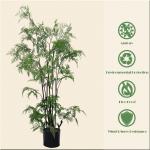 40ft Artificial Potted Floor Plants Fern Tree For Indoor Home Decoration for sale