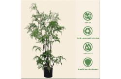 China Plastic Material Artificial Fern Tree Architectural Landscaping supplier