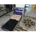 Intelligent Automatic Inkjet Marking Machine For 30 Holes Entire Pallet Eggs