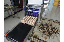 China Intelligent Automatic Inkjet Marking Machine For 30 Holes Entire Pallet Eggs supplier
