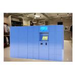 OEM Outdoors Metal Belonging And Luggage Locker By PIN Code With Payment System for sale