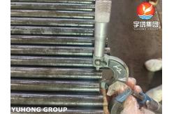 China ASTM A213 T5 Alloy Steel Seamless Tube For Heat Recovery Boilers supplier