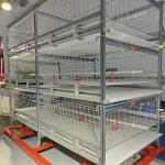 90/120 Broiler Battery Cage System , H Frame Q235A Broiler Farm Equipment for sale
