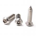 ST6.3 25mm Pan Head Torx Self Tapping Thread Anti Theft Tapping Screw for sale