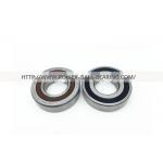 Screw Support Angular Contact Ball Bearing 30TAC62BDBC10PN7A