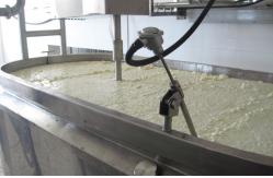 China 50KW SUS304 Cheese Making Machine 1500L / 2000L With Temperature Control System supplier