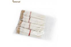 China Wholesale Beekeeping Tools Plastic Royal Jelly Pen Apicultural Tools For Beekeeping supplier