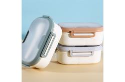 China Office Worker Student Microwave Plastic Lunch Boxes With Cutlery supplier