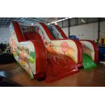 PVC Tarpaulin Forest Commercial Inflatable Water Slides / Outdoor Mini Dry Slide for sale