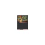 6.4 inch U064SWR1-0 tft LCD Display Screen for Mobile Phone for sale
