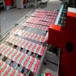 Efficiency And High Quality Tinplate Sheet Duplex Slitter Cutting Machine for sale