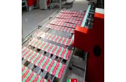 China Efficiency And High Quality Tinplate Sheet Duplex Slitter Cutting Machine supplier