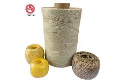 China 4200D Twisted 2 Ply Sausage Loop PP Twine Polypropylene Thread Fibrilated supplier
