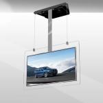 700 Nits Hanging Transparent LCD Screen 55inch OLED Double Sided Digital Display for sale