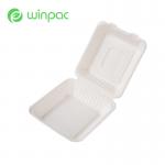 Disposable Biodegradable Take Away Food Container 6 Inch Sugarcane Bagasse Lunch Box for sale