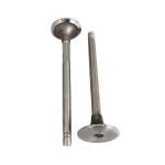 Original Construction Diesel Engine 145701 Exhaust Valve For Cummins NT855 for sale