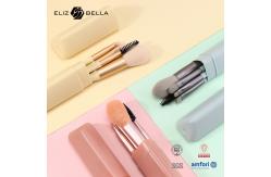 China 5 Mini Brushes Set With Brush Holder Special Plastic Handle Cosmetic Brush OEM supplier