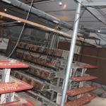 4 Tiers Poultry Farm Egg Layer Battery Chicken Cage With Automatic Nipple Drinker for sale