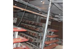 China 4 Tiers Poultry Farm Egg Layer Battery Chicken Cage With Automatic Nipple Drinker supplier