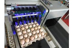 China High Output Egg Batch Code Stamping Machine With Low Maintenance Costs supplier