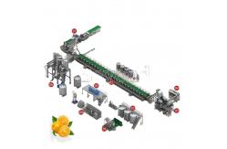 China SUS316 Industrial Fruit Juice Processing Line Automatic Citrus Jam Making Machine supplier