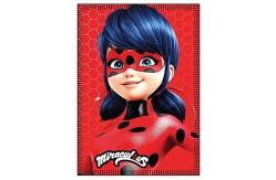 China Printing Pattern Polyester Flannel Blanket For Kids Anti Pilling supplier
