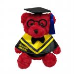 Soft Conformable Red Doctorial Hat Teddy Bear Plush Toys For Children for sale