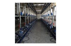 China Electric goat Herringbone Milking Parlor with Automatic system supplier