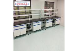 China Efficient and Stylish Storage Lab Wall Benches for Modern Labs supplier