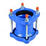Pipeline Compensation Joints Live Pe Pipe Flexible Joint Coupling Quick Connectors for sale