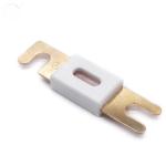 32V 80V Car Automotive Auto Forklift Ceramic ANL Fuse for sale