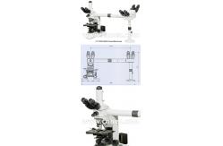 China Multi Viewing Microscope A17.1026-B supplier