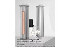 China 10 L Portable PSA Medical Oxygen Concentrator Machine For Breathing supplier