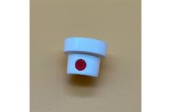 China Female Paint Spray Release Valve for Home Improvement - Durable Functionality, Easy Adjustment supplier