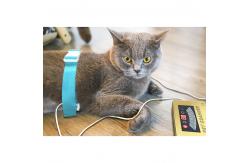 China Pet Quantum Resonance Magnetic Analyzer Machine 1.5KG Weight CE Certification supplier