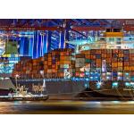 Fast FCL Sea Freight , FCL Container Transport DDU DDP Customs Clearance for sale